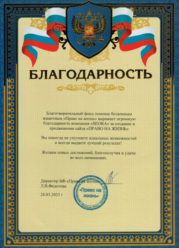 pravo-na-jzn-360x499 Веб-студия Seora - создание и продвижение сайтов