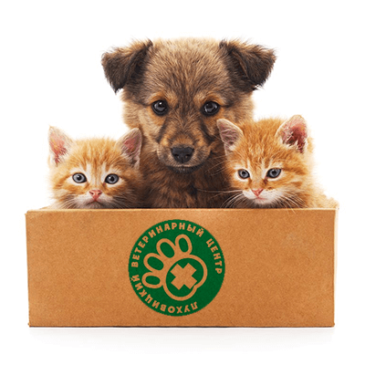 Ветклиника