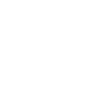 Только белые методы.